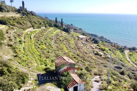 Terra a Cipressa, Imperia, Cipressa - € 360.000 | Ref: T174 - foto 2