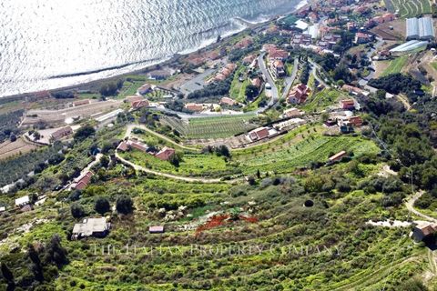 Terra a Cipressa, Imperia, Cipressa - € 360.000 | Ref: T174 - foto 5