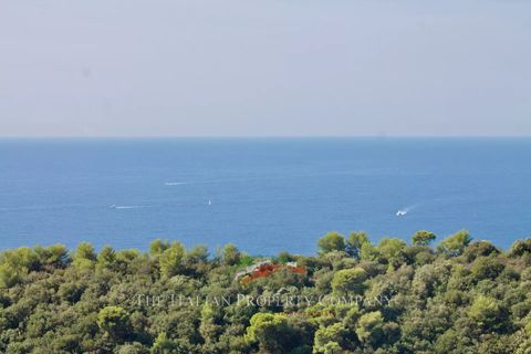 Villa a Camporosso, Imperia, Camporosso - € 1.350.000 | Ref: F216 - foto 10