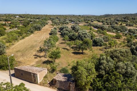Helårsgrund i Sagres, Faro, Sagres - € 150.000 | Ref: 10171 - foto 3
