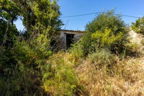 Helårsgrund i Sagres, Faro, Sagres - € 150.000 | Ref: 10171 - foto 6