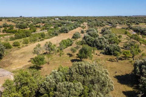 Helårsgrund i Sagres, Faro, Sagres - € 150.000 | Ref: 10171 - foto 8