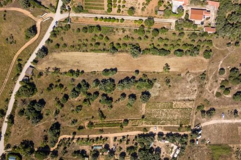Helårsgrund i Sagres, Faro, Sagres - € 150.000 | Ref: 10171 - foto 18