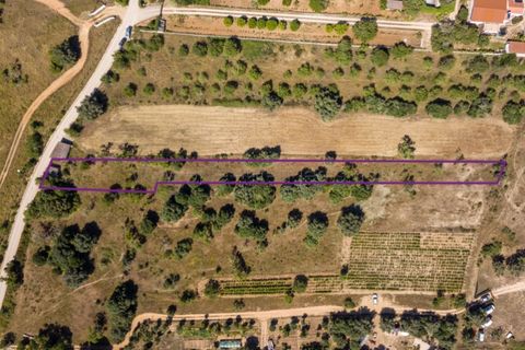 Helårsgrund i Sagres, Faro, Sagres - € 150.000 | Ref: 10171 - foto 19
