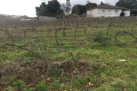 Helårsgrund i Moncao, Viana do Castelo, Moncao - € 194.000 | Ref: MNC1092T - foto 3