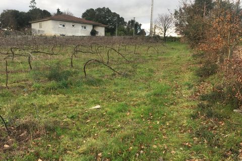 Helårsgrund i Moncao, Viana do Castelo, Moncao - € 194.000 | Ref: MNC1092T - foto 5