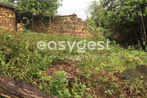 Rækkehus i Arganil, Coimbra, Arganil - € 21.000 | Ref: RR82454 - foto 4