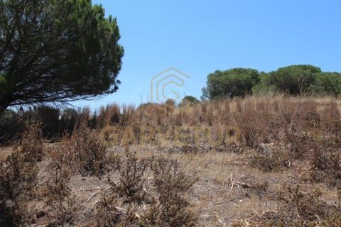 Helårsgrund i Paderne, Faro, Paderne - € 188.000 | Ref: 00/T/19066 - foto 1