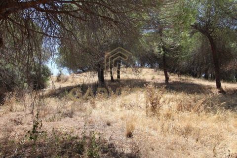 Helårsgrund i Paderne, Faro, Paderne - € 188.000 | Ref: 00/T/19066 - foto 2