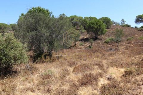 Helårsgrund i Paderne, Faro, Paderne - € 188.000 | Ref: 00/T/19066 - foto 3