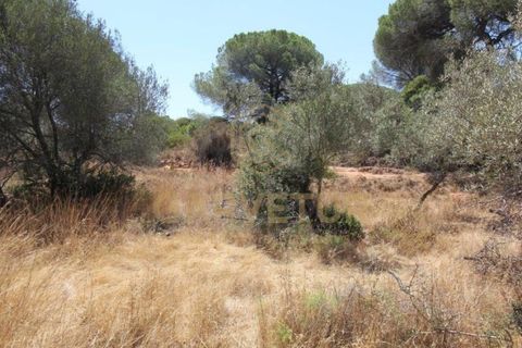 Helårsgrund i Paderne, Faro, Paderne - € 188.000 | Ref: 00/T/19066 - foto 4