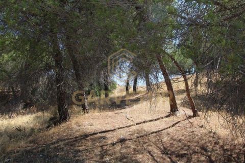 Helårsgrund i Paderne, Faro, Paderne - € 188.000 | Ref: 00/T/19066 - foto 5