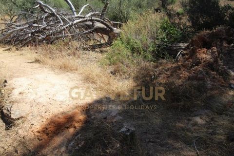 Helårsgrund i Paderne, Faro, Paderne - € 188.000 | Ref: 00/T/19066 - foto 6