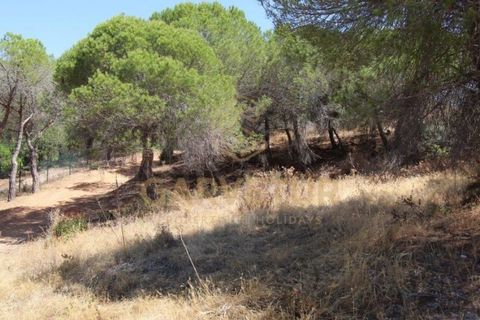 Helårsgrund i Paderne, Faro, Paderne - € 188.000 | Ref: 00/T/19066 - foto 7