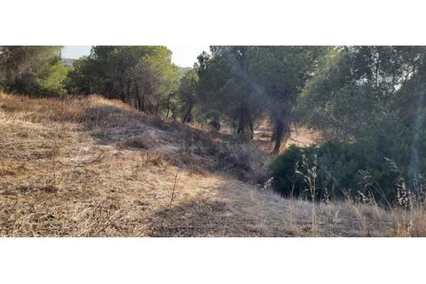 Helårsgrund i Paderne, Faro, Paderne - € 188.000 | Ref: 00/T/19066 - foto 9