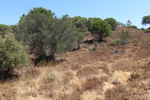 Helårsgrund i Paderne, Faro, Paderne - € 188.000 | Ref: 00/T/19066 - foto 10