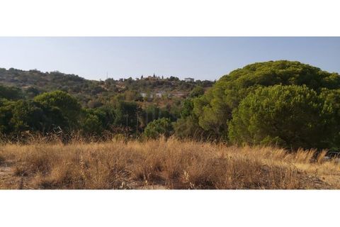 Helårsgrund i Paderne, Faro, Paderne - € 188.000 | Ref: 00/T/19066 - foto 13