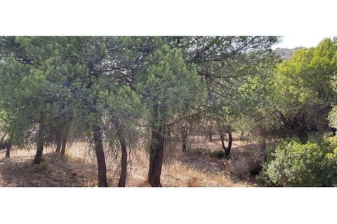 Helårsgrund i Paderne, Faro, Paderne - € 188.000 | Ref: 00/T/19066 - foto 16
