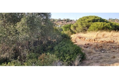 Helårsgrund i Paderne, Faro, Paderne - € 188.000 | Ref: 00/T/19066 - foto 17