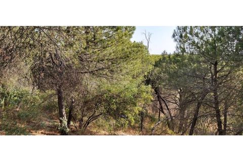 Helårsgrund i Paderne, Faro, Paderne - € 188.000 | Ref: 00/T/19066 - foto 19