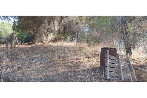 Helårsgrund i Paderne, Faro, Paderne - € 188.000 | Ref: 00/T/19066 - foto 23