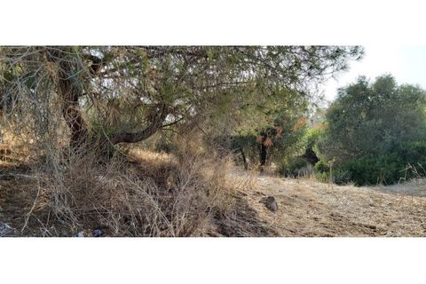 Helårsgrund i Paderne, Faro, Paderne - € 188.000 | Ref: 00/T/19066 - foto 24