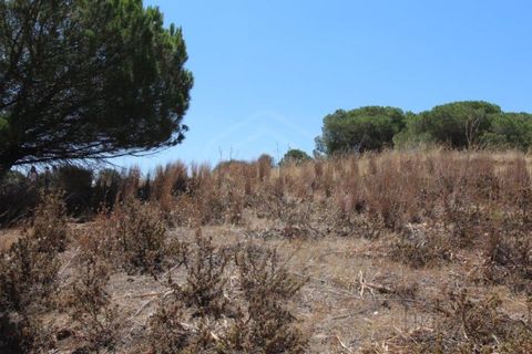 Helårsgrund i Paderne, Faro, Paderne - € 188.000 | Ref: 00/T/19066 - foto 26