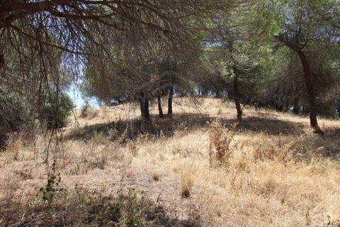 Helårsgrund i Paderne, Faro, Paderne - € 188.000 | Ref: 00/T/19066 - foto 27