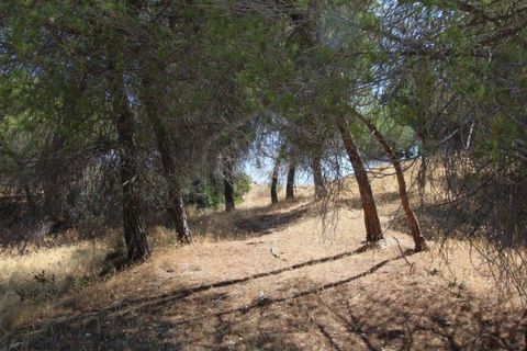 Helårsgrund i Paderne, Faro, Paderne - € 188.000 | Ref: 00/T/19066 - foto 28