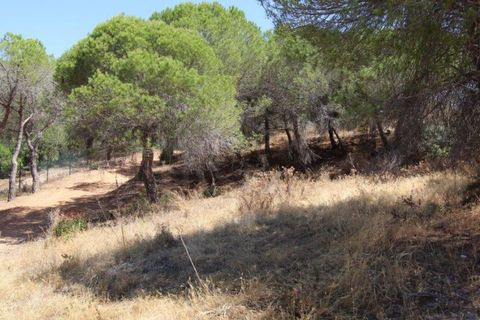 Helårsgrund i Paderne, Faro, Paderne - € 188.000 | Ref: 00/T/19066 - foto 29