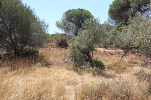Helårsgrund i Paderne, Faro, Paderne - € 188.000 | Ref: 00/T/19066 - foto 30
