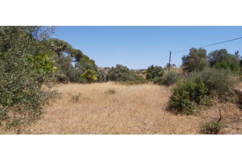 Helårsgrund i Paderne, Faro, Paderne - € 160.000 | Ref: 00/T/19064 - foto 2