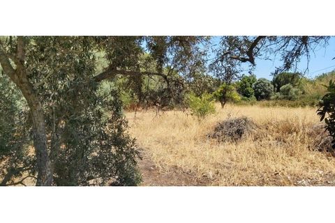 Helårsgrund i Paderne, Faro, Paderne - € 160.000 | Ref: 00/T/19064 - foto 4