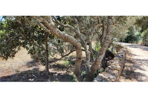 Helårsgrund i Paderne, Faro, Paderne - € 160.000 | Ref: 00/T/19064 - foto 5
