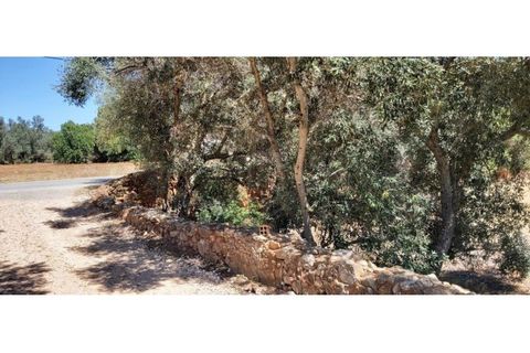 Helårsgrund i Paderne, Faro, Paderne - € 160.000 | Ref: 00/T/19064 - foto 6