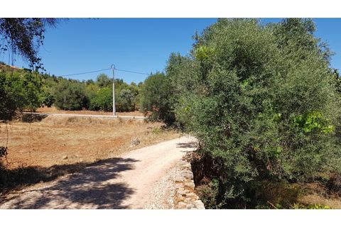 Helårsgrund i Paderne, Faro, Paderne - € 160.000 | Ref: 00/T/19064 - foto 7