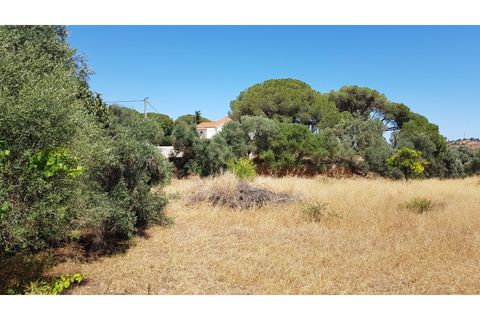 Helårsgrund i Paderne, Faro, Paderne - € 160.000 | Ref: 00/T/19064 - foto 8
