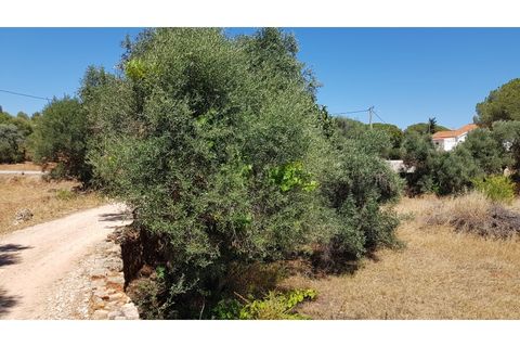 Helårsgrund i Paderne, Faro, Paderne - € 160.000 | Ref: 00/T/19064 - foto 9