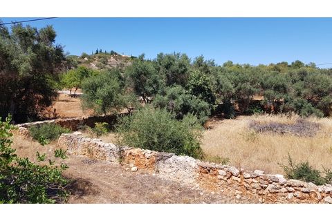 Helårsgrund i Paderne, Faro, Paderne - € 160.000 | Ref: 00/T/19064 - foto 12