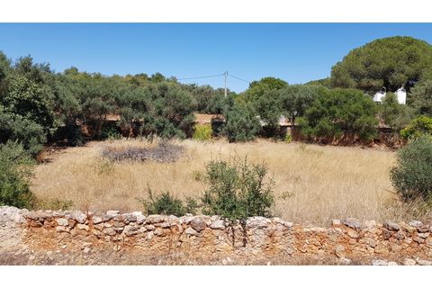 Helårsgrund i Paderne, Faro, Paderne - € 160.000 | Ref: 00/T/19064 - foto 13