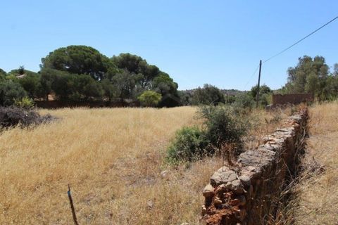 Helårsgrund i Paderne, Faro, Paderne - € 160.000 | Ref: 00/T/19064 - foto 16
