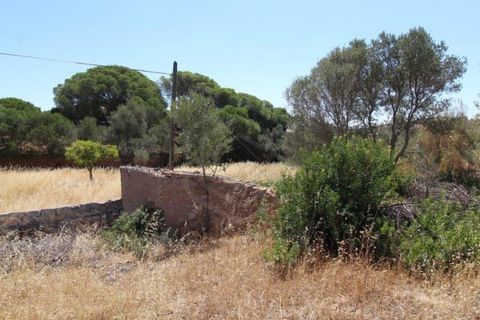 Helårsgrund i Paderne, Faro, Paderne - € 160.000 | Ref: 00/T/19064 - foto 18