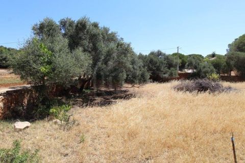 Helårsgrund i Paderne, Faro, Paderne - € 160.000 | Ref: 00/T/19064 - foto 21