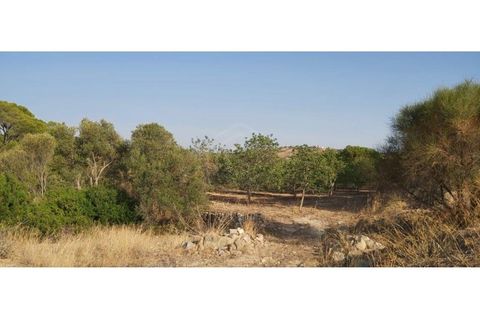 Helårsgrund i Paderne, Faro, Paderne - € 160.000 | Ref: 00/T/19064 - foto 22