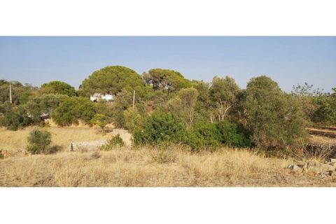 Helårsgrund i Paderne, Faro, Paderne - € 160.000 | Ref: 00/T/19064 - foto 24