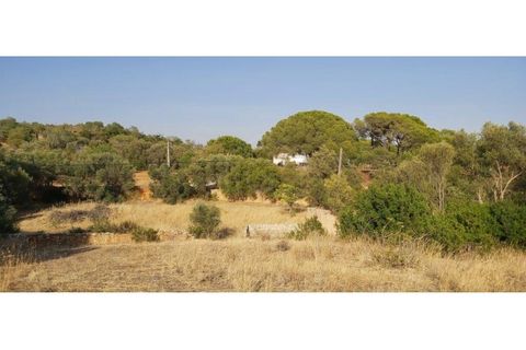 Helårsgrund i Paderne, Faro, Paderne - € 160.000 | Ref: 00/T/19064 - foto 25