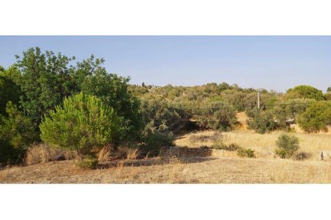 Helårsgrund i Paderne, Faro, Paderne - € 160.000 | Ref: 00/T/19064 - foto 27