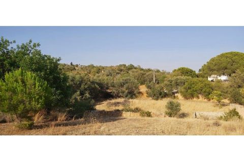 Helårsgrund i Paderne, Faro, Paderne - € 160.000 | Ref: 00/T/19064 - foto 28