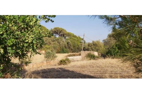 Helårsgrund i Paderne, Faro, Paderne - € 160.000 | Ref: 00/T/19064 - foto 29