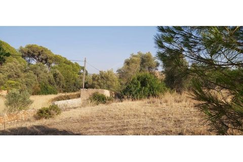 Helårsgrund i Paderne, Faro, Paderne - € 160.000 | Ref: 00/T/19064 - foto 30